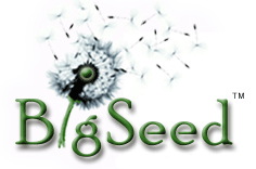 BigSeed Logo